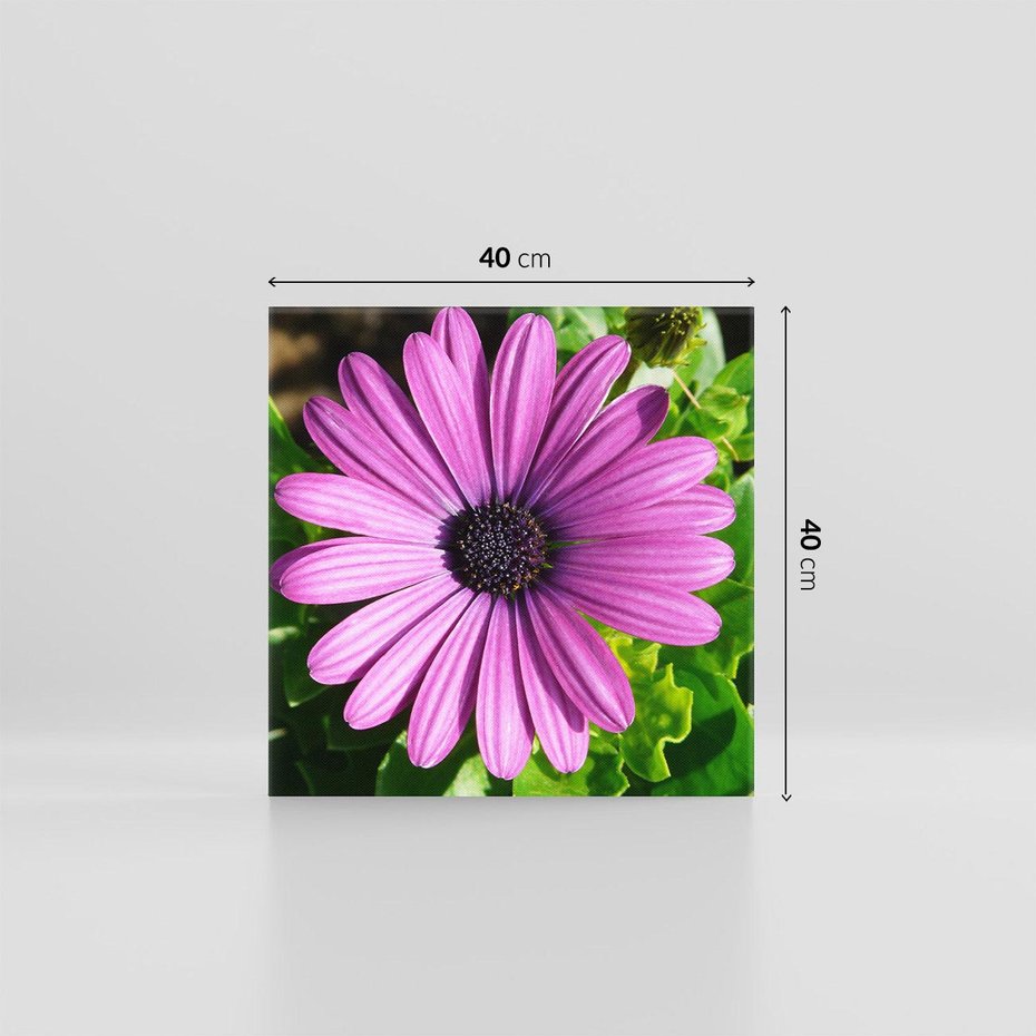 Obraz na płótnie 40x40 - Kwiatowy Dotyk - kwiat, kwiaty