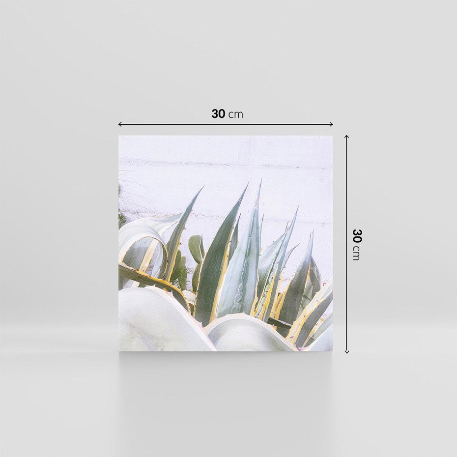 Obraz na płótnie 30x30 - Sukulentowe liście - liście, sukulenty