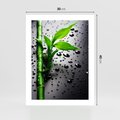 Plakat bez ramy 30x40 - Bambusowa Harmonia - bambus, liście