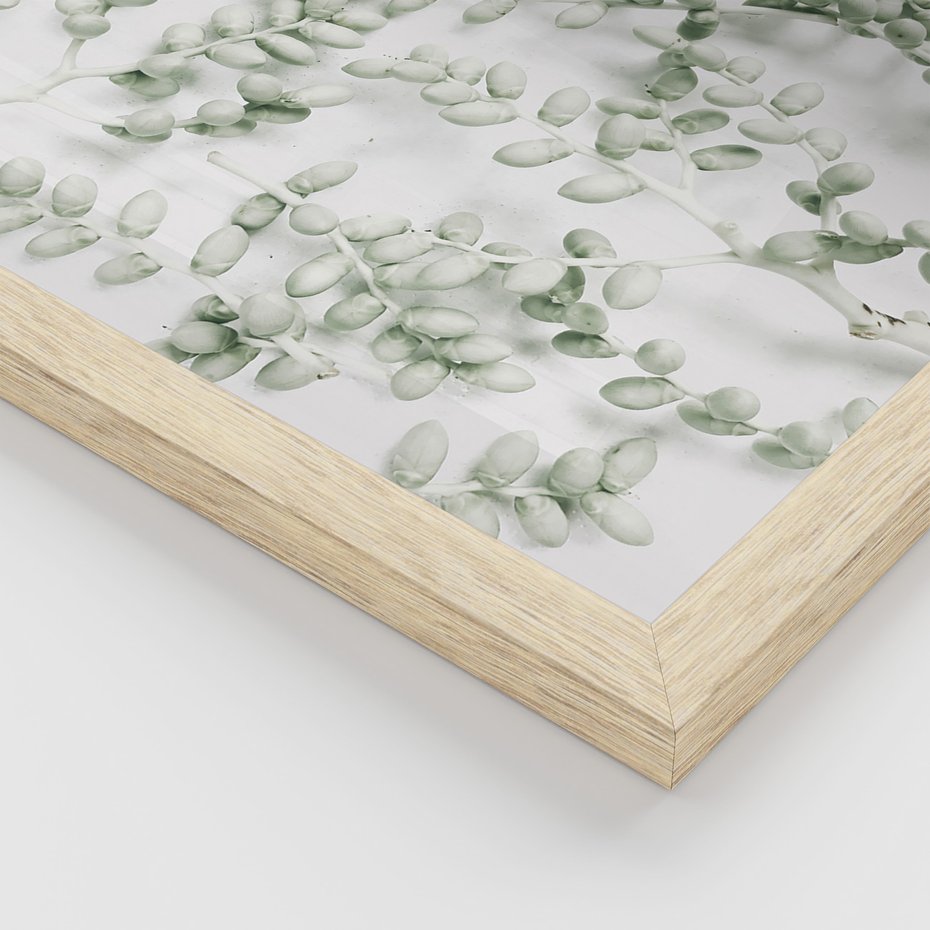 Zestaw obrazy w ramie 50x70 galeria - Liście, zieleń, minimalizm - rama drewno