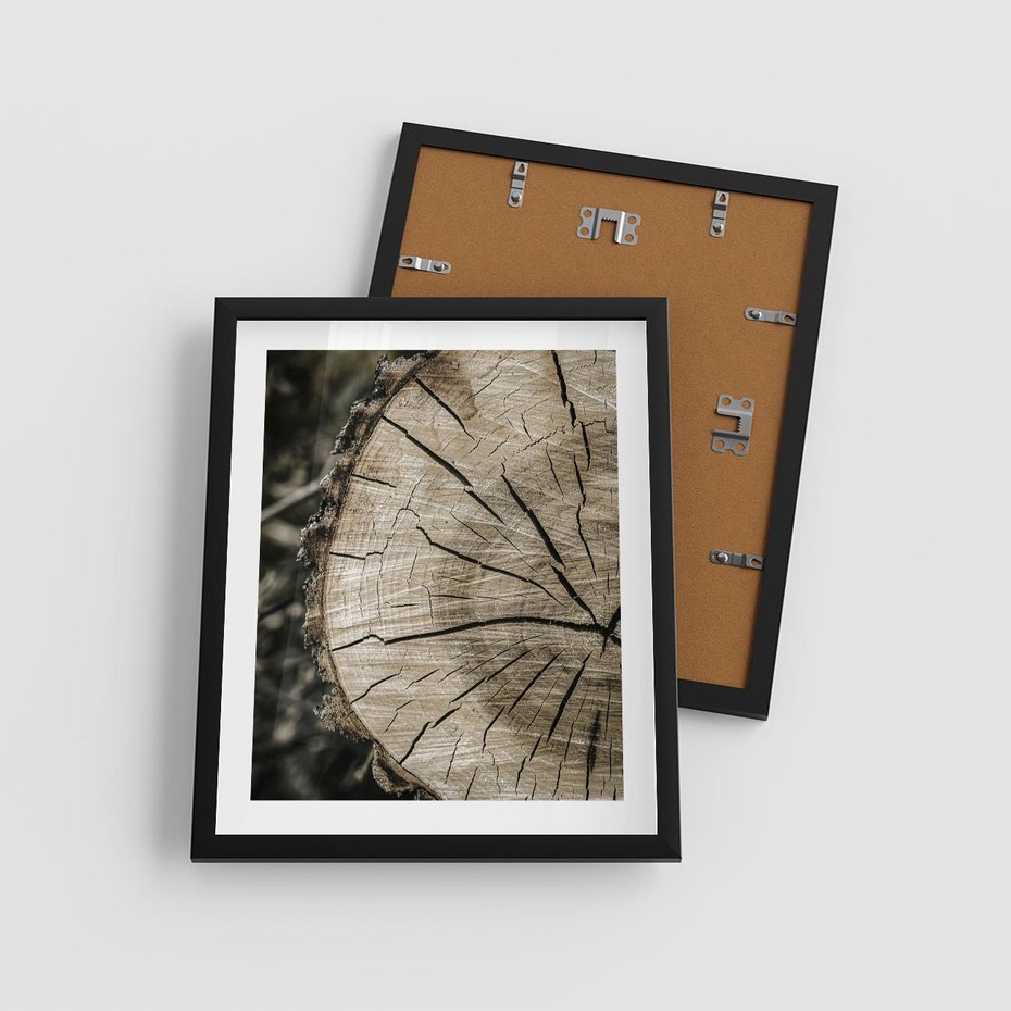 Plakat w ramie 40x50 - Wnętrze Natury - pień, przecięty pień - rama czarna