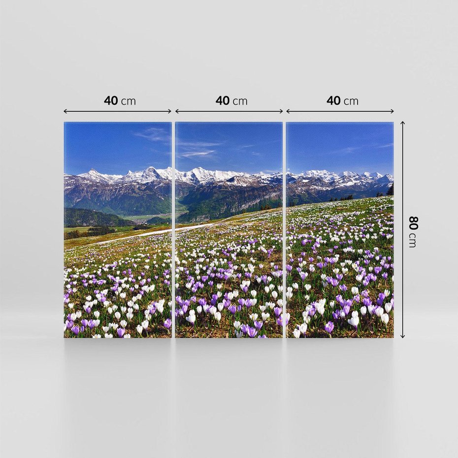 Obraz na płótnie 120x80 - Wiosenne Czarowanie - krokusy, góry