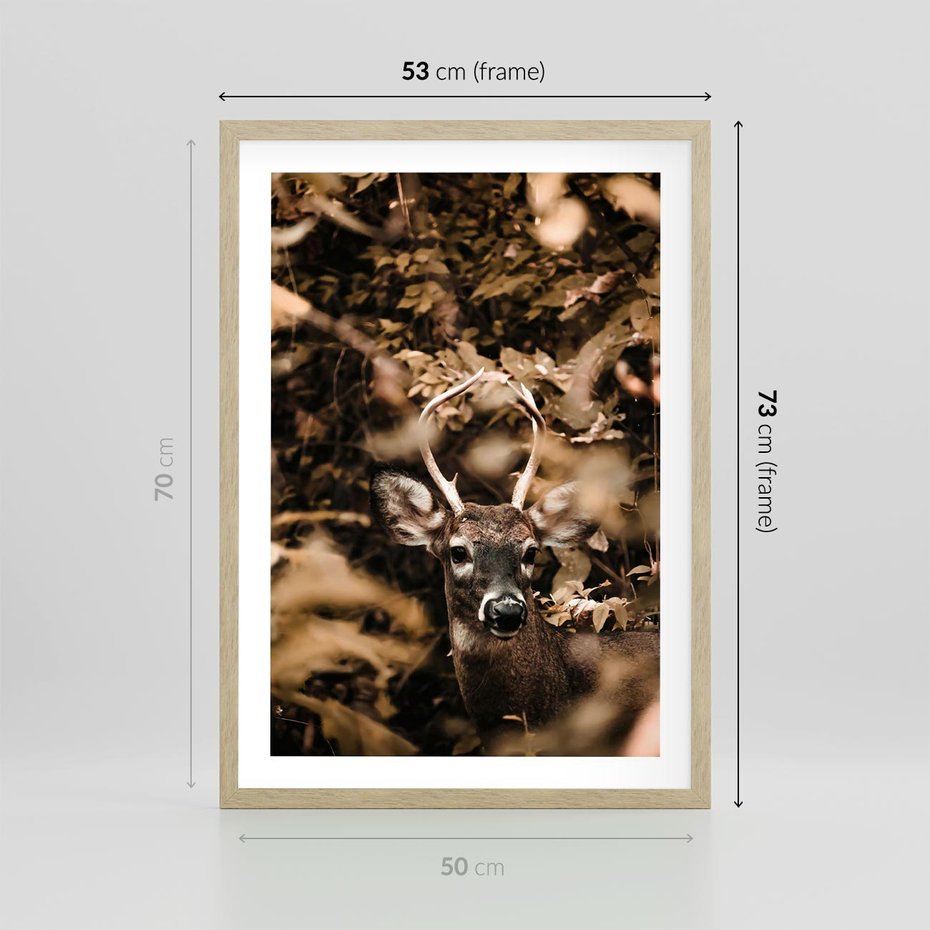 Plakat w ramie 50x70 - Jesienny Jeleń w Lesie - jeleń, w lesie - rama drewno