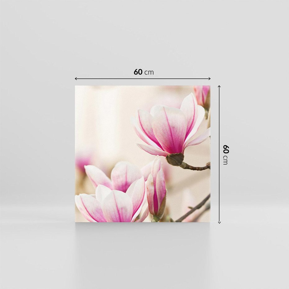 Obraz na płótnie 60x60 - Urok Magnolii - magnolie, kwiaty