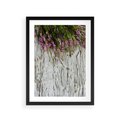 Plakat w ramie 30x40 - Fioletowe Wrzosy - wrzosy, fiolet - rama czarna