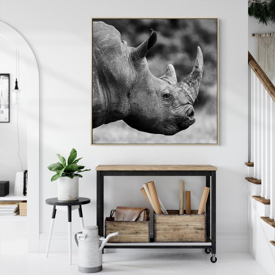 Obraz w ramie 80x80 - Potęga Afryki - czarno biała fotografia, zbliżenie na postać nosorożca - rama drewno
