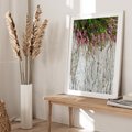 Plakat bez ramy 30x40 - Fioletowe Wrzosy - wrzosy, fiolet