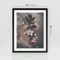 Plakat w ramie 40x50 - Przemijający Urok - kwitnąca, wiśnia - rama czarna