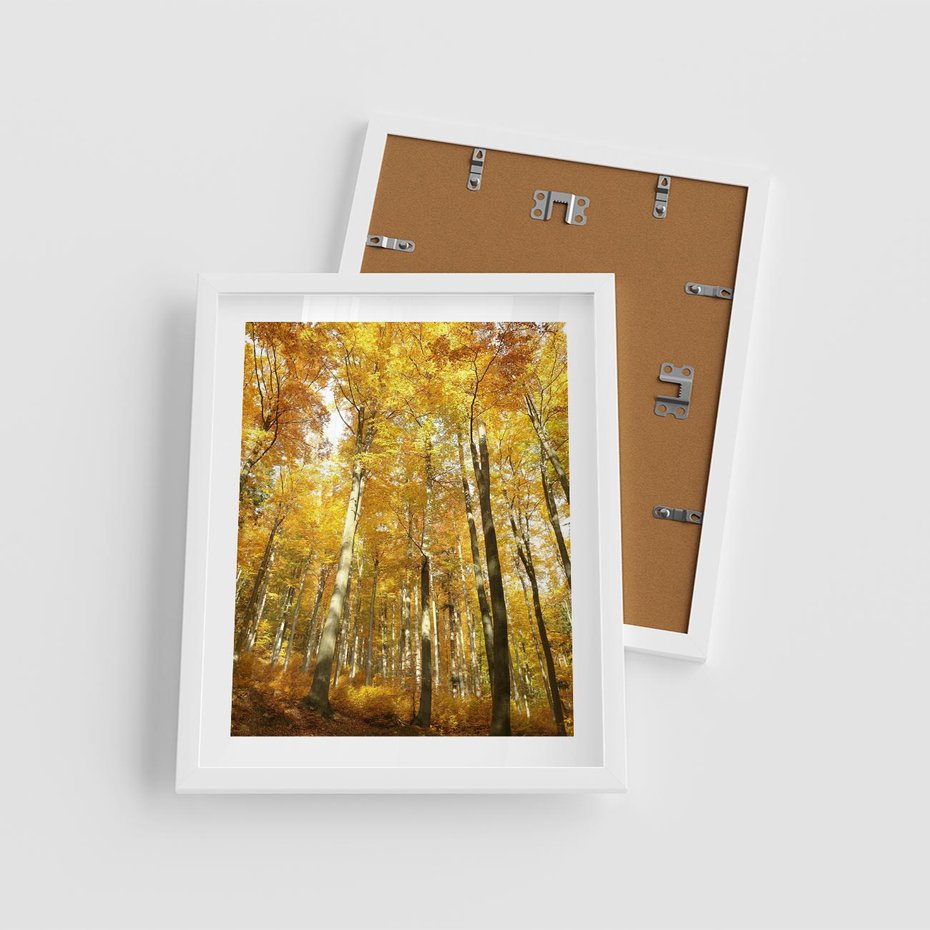 Plakat w ramie 40x50 - Jesienny Las - Kolorowa Paleta Natury - jesień, drzewa - rama biała