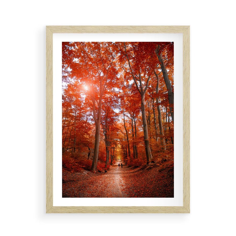 Plakat w ramie 50x70 - Magia jesiennego lasu - las, jesień - rama drewno