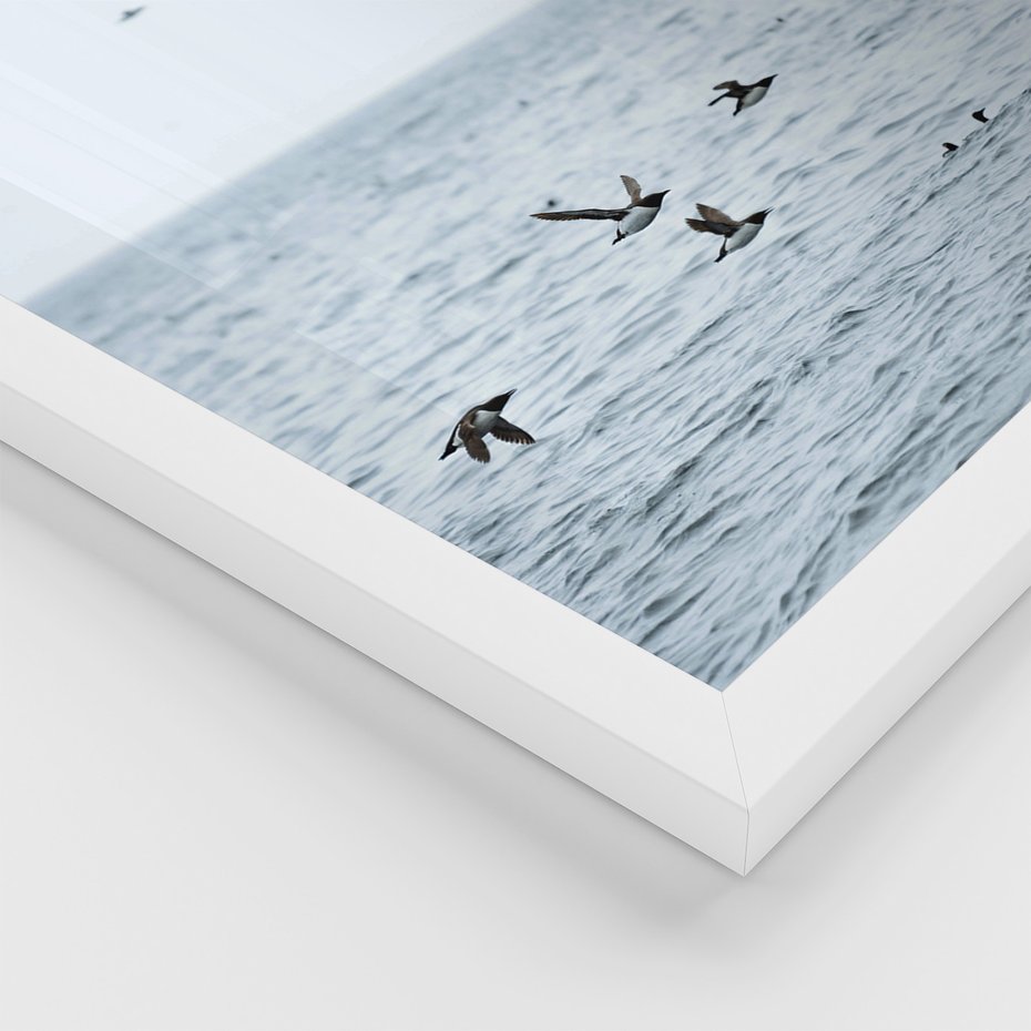 Zestaw obrazy w ramie 40x50 galeria - Morze, łodzie, ptaki, nostalgia - rama biała