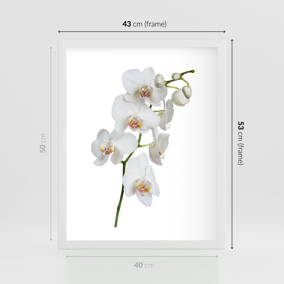 Plakat w ramie 40x50 - Ekskluzywny Relaks - storczyk, spa - rama biała