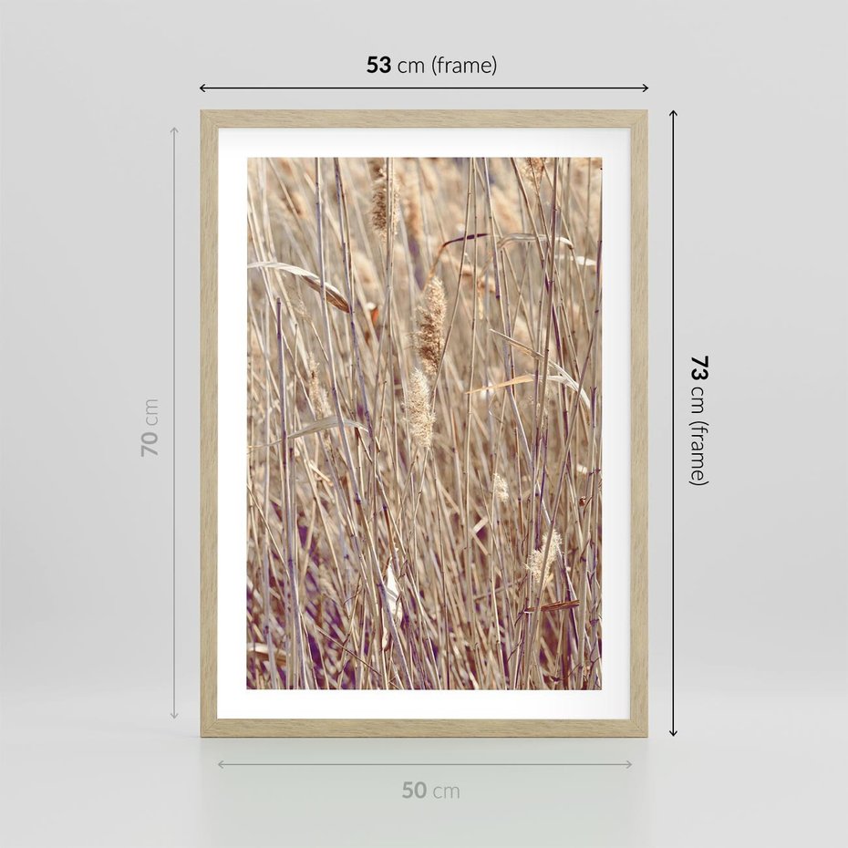 Plakat w ramie 50x70 - Suche Trawy w Wyjątkowym Stylu - suche trawy, boho styl - rama drewno