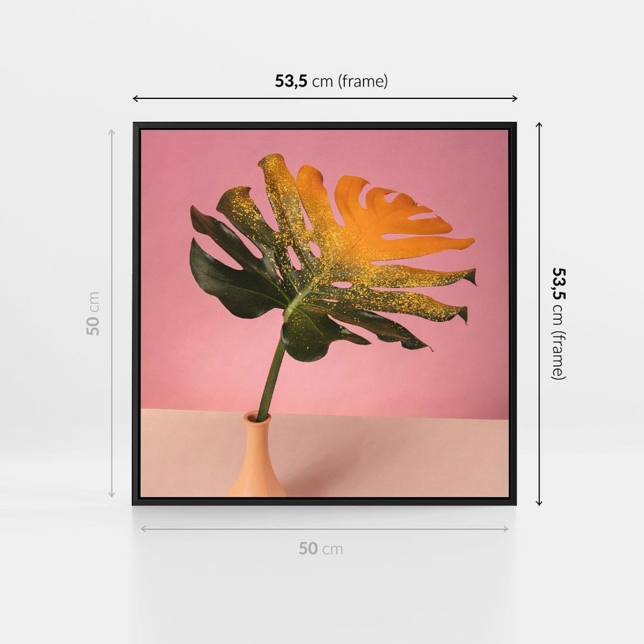 Obraz w ramie 50x50 - Egzotyczna monstera - monstera, liść - rama czarna