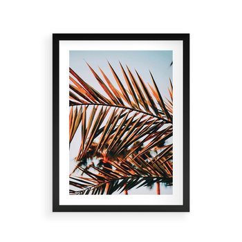 Plakat w ramie 30x40 - Tropikalna Harmonia - palma, liście palmy - rama czarna