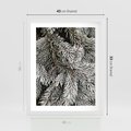 Plakat w ramie 40x50 - Cisza Zimowej Natury - zima, iglaste gałązki - rama biała
