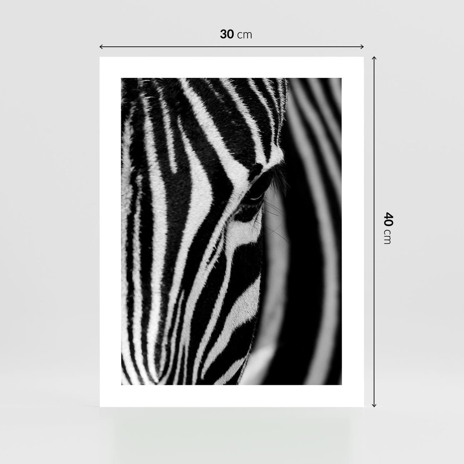 Plakat bez ramy 30x40 - Pasy Zebr - zebra, paski