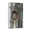 Obraz na płótnie 70x100 - Tajemniczy W świecie Nocy - sowa, dziupla