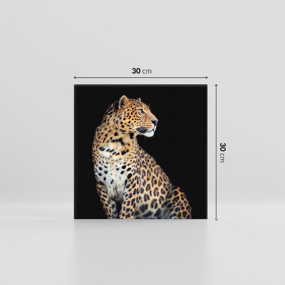 Obraz na płótnie 30x30 - Elegancja Jaguarowej Pantery - jaguar, pantera