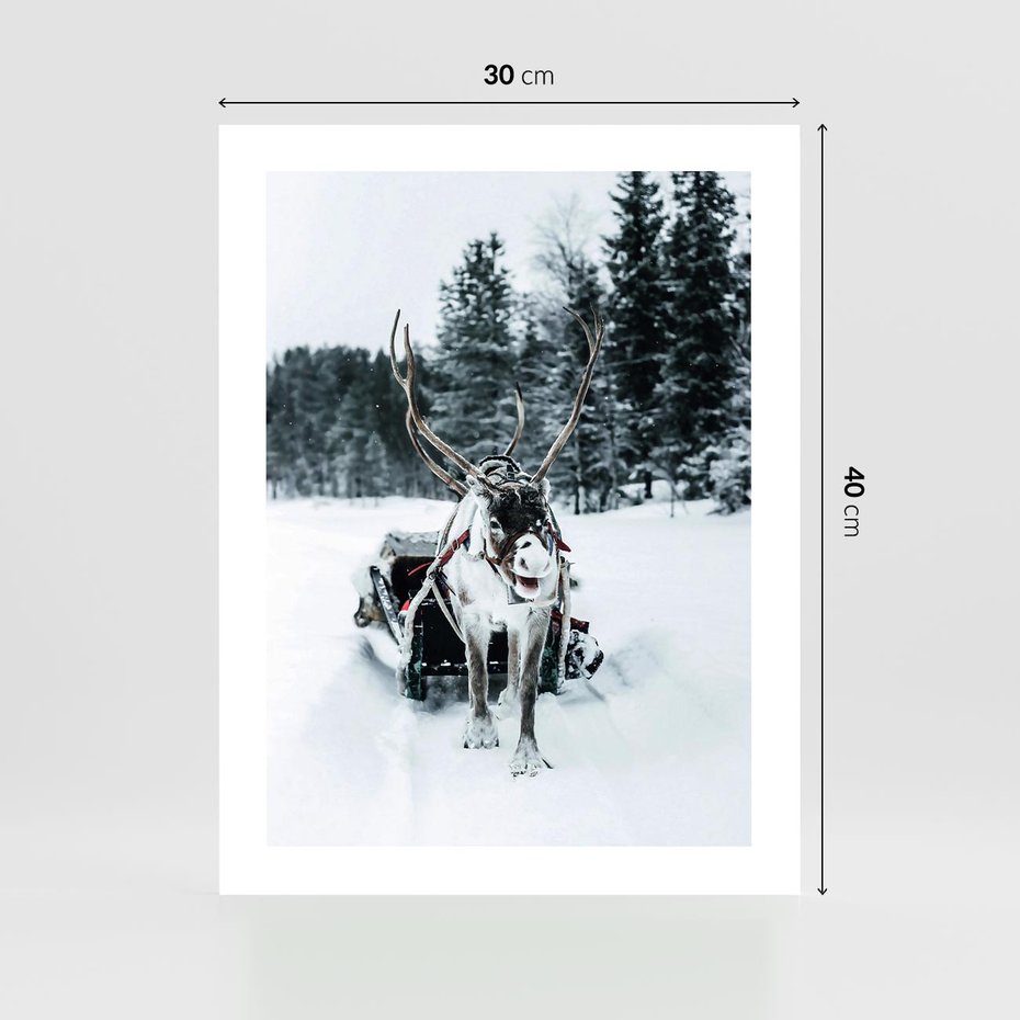 Plakat bez ramy 30x40 - Świąteczna Przygoda - renifer, śnieg