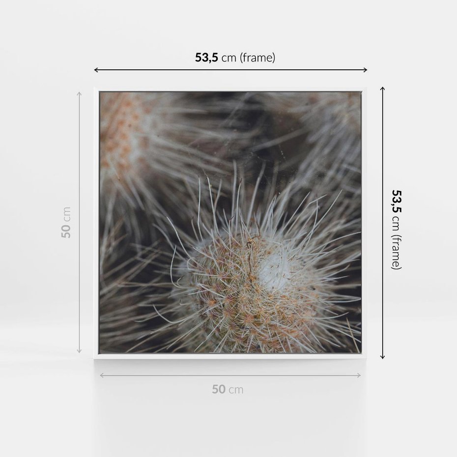 Obraz w ramie 50x50 - Ulotna Piękność Natury - makro, dmuchawce - rama biała