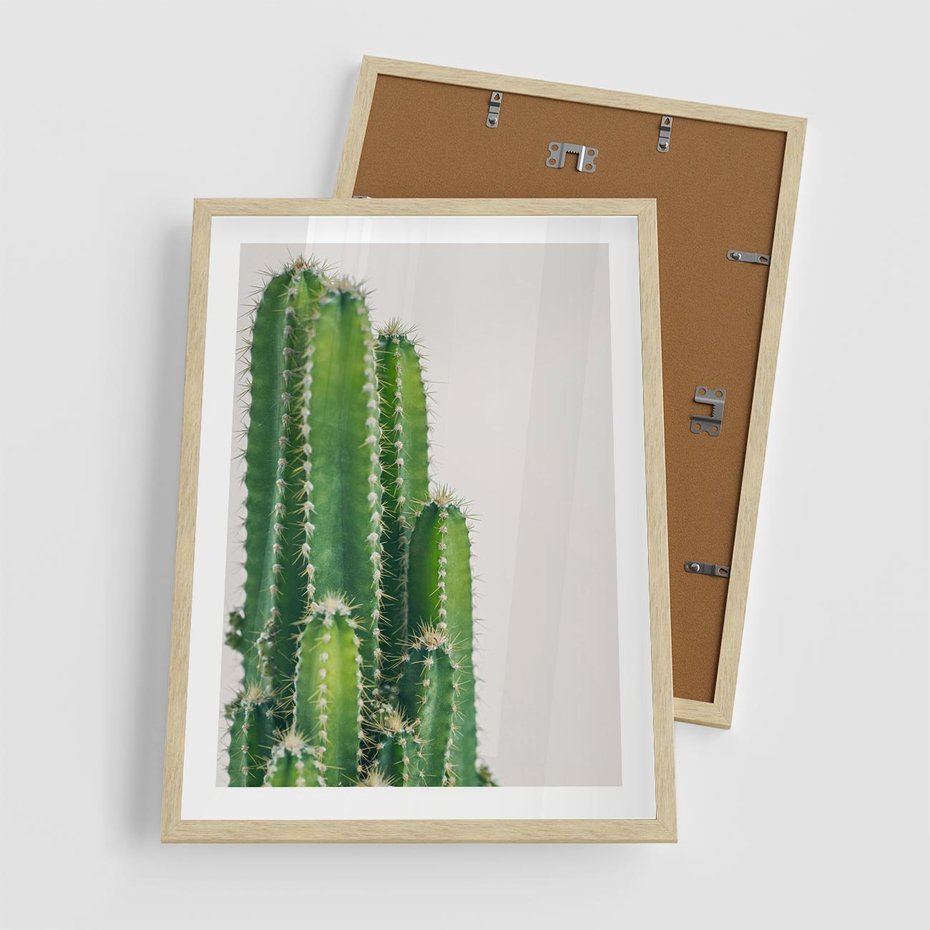Plakat w ramie 50x70 - Minimalistyczne Kaktusy na Białym Tle - kaktusy, minimalistyczna fotografia - rama drewno