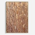 Obraz w ramie 50x70 - Mistrzowskie suche trawy - suche, trawy - rama drewno