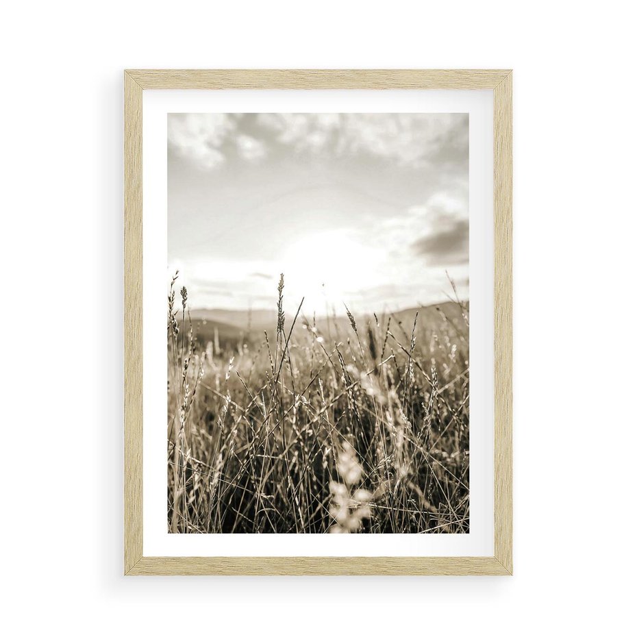 Plakat w ramie 50x70 - Łąka w Klimacie Sepii - suche trawy, łąka - rama drewno