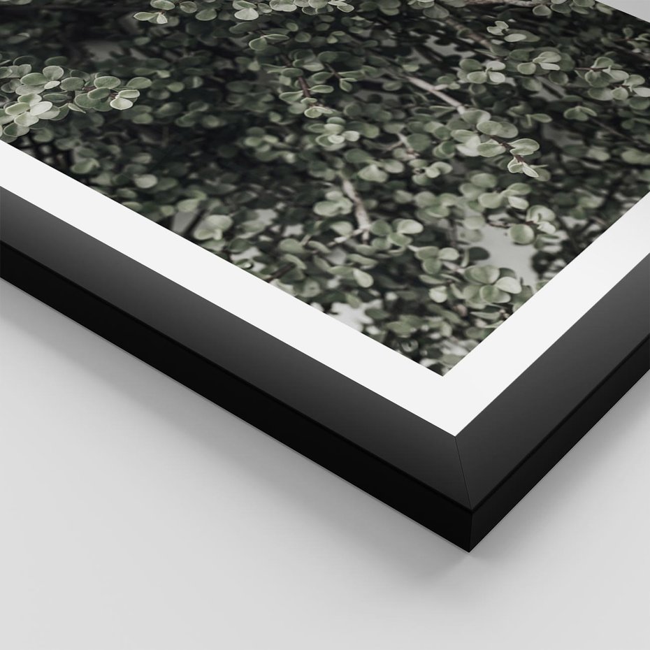 Plakat w ramie 50x70 - Jasnozielone Liście i Gałązki - liście, gałązki - rama czarna