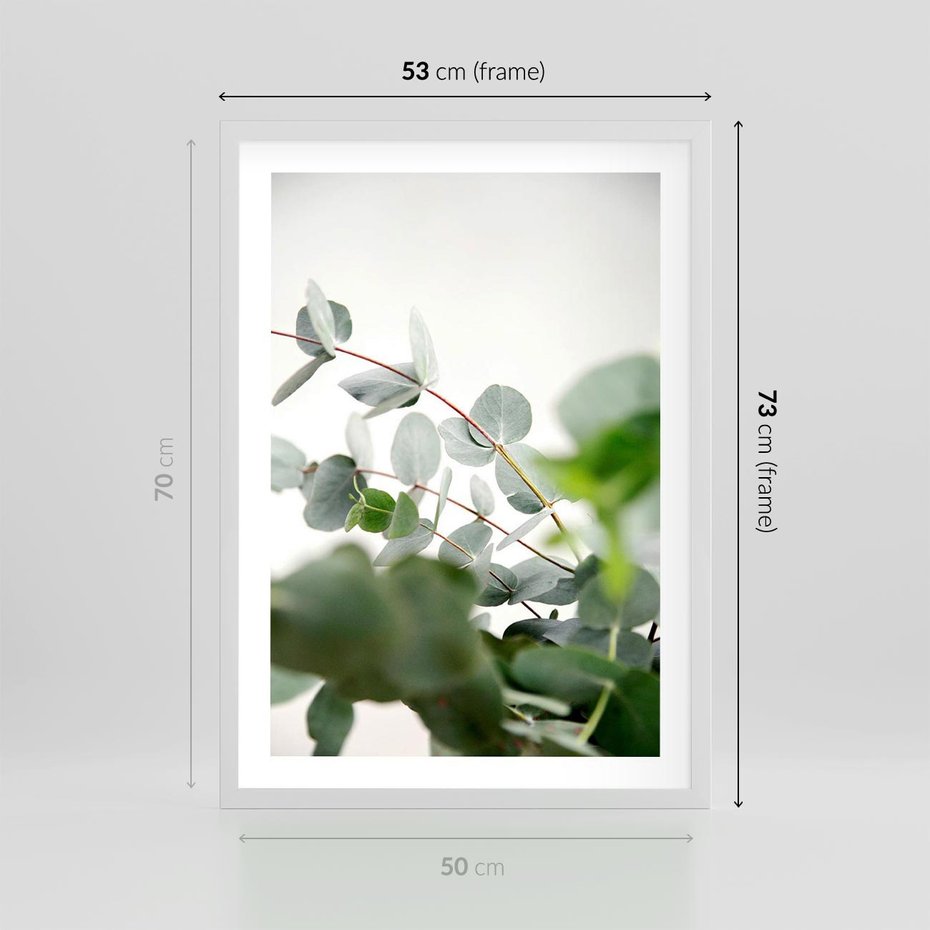 Plakat w ramie 50x70 - Zielony Świat Eukaliptusa - eukaliptus, fotografia - rama biała