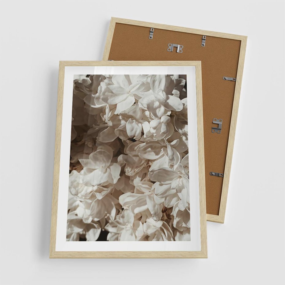 Plakat w ramie 50x70 - Płatki w Detalu - białe kwiaty, zbliżenie - rama drewno