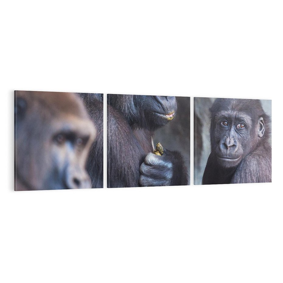 Obraz na płótnie 120x40 - Małpy w ich naturalnym środowisku - małpy, szympansy