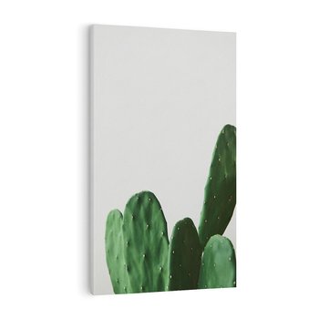 Obraz na płótnie 70x100 - Majestatyczne Wysokości - kaktusy, liście