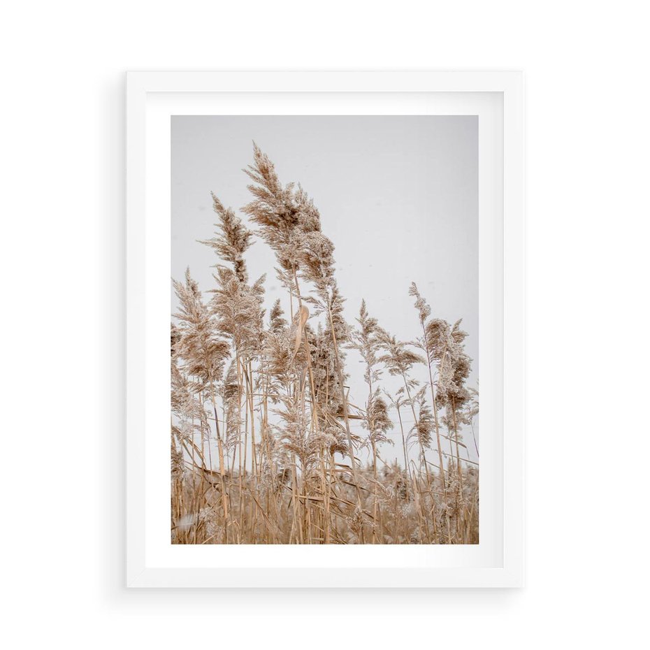 Plakat w ramie 50x70 - Boho Urok - trawy, pampas - rama biała