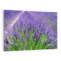 Obraz na płótnie 120x80 - Lawendowe pola piękno natury - lawenda, kwiaty