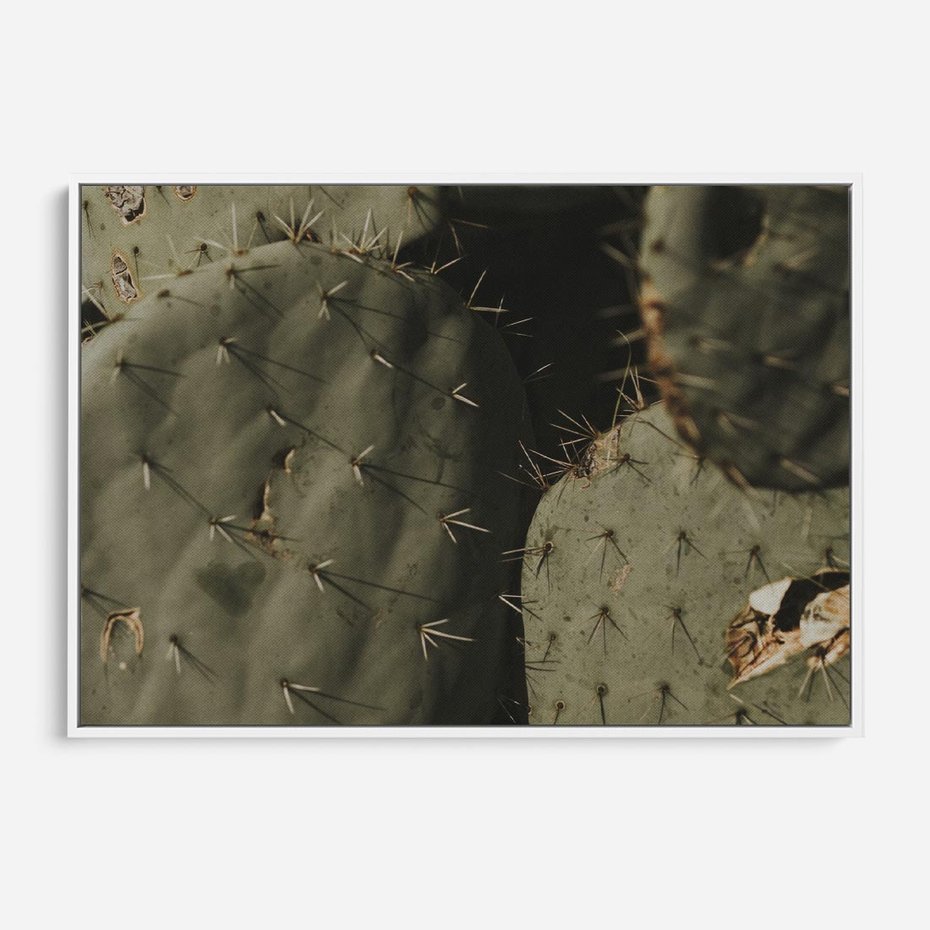 Obraz w ramie 70x50 - Urok Egzotyki - kaktusy, boho - rama biała