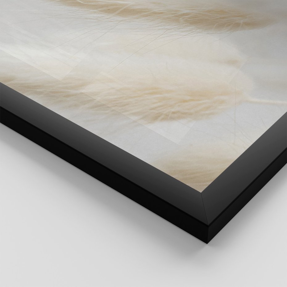 Zestaw obrazy w ramie 40x50 galeria - Suche, trawy, boho, pampas - rama czarna