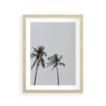 Plakat w ramie 30x40 - Tropikalny Raj: Palmy i Niebo - palmy, niebo - rama drewno