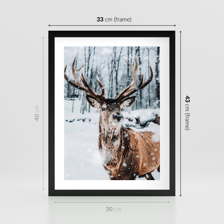 Plakat w ramie 30x40 - Jeleń na Zdjęciu pod Śniegiem - jeleń, zima - rama czarna