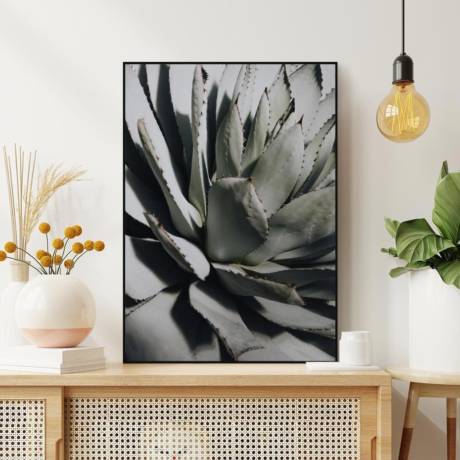 Obraz w ramie 70x100 - Sukulenty wśród kaktusów - sukulenty, kaktusy - rama czarna