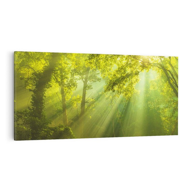 Obraz na płótnie 100x50 - drzewa w harmonii - las, drzewa