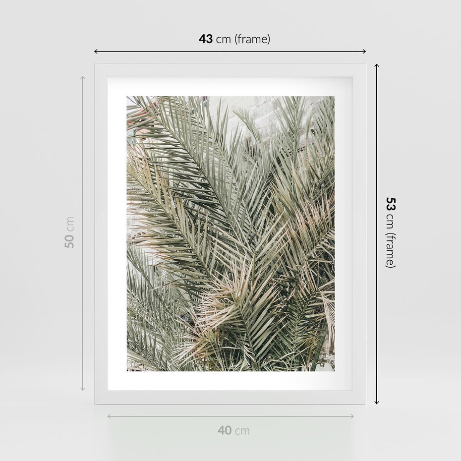 Plakat w ramie 40x50 - Egzotyczny Świat Palm - palmy, liście palmy - rama biała