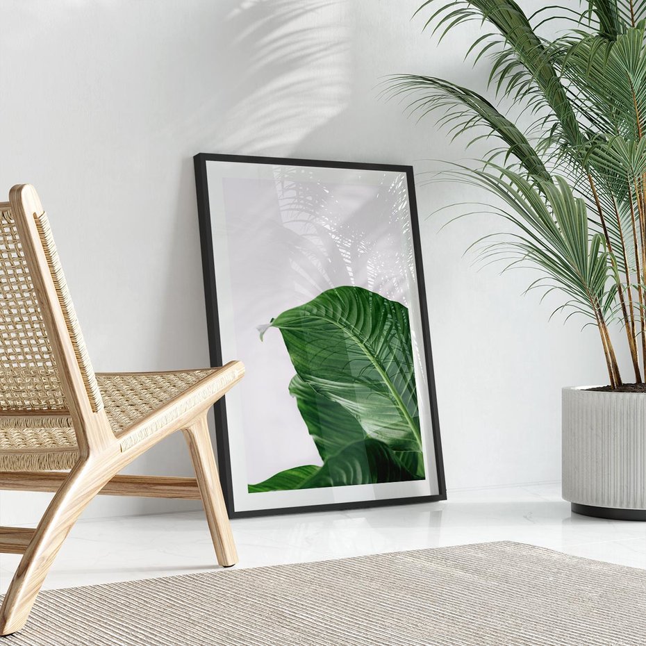 Plakat bez ramy 21x30 - Zielone liście monstery - liście, monstera