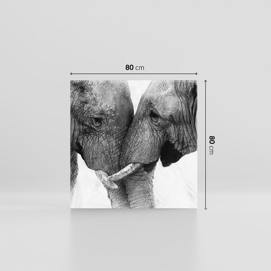 Obraz na płótnie 80x80 - Spotkanie Mądrości - fotografia czarno biała, dwa słonie