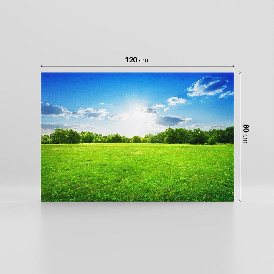 Obraz na płótnie 120x80 - Idylla na łące drzew - łąka, drzewa