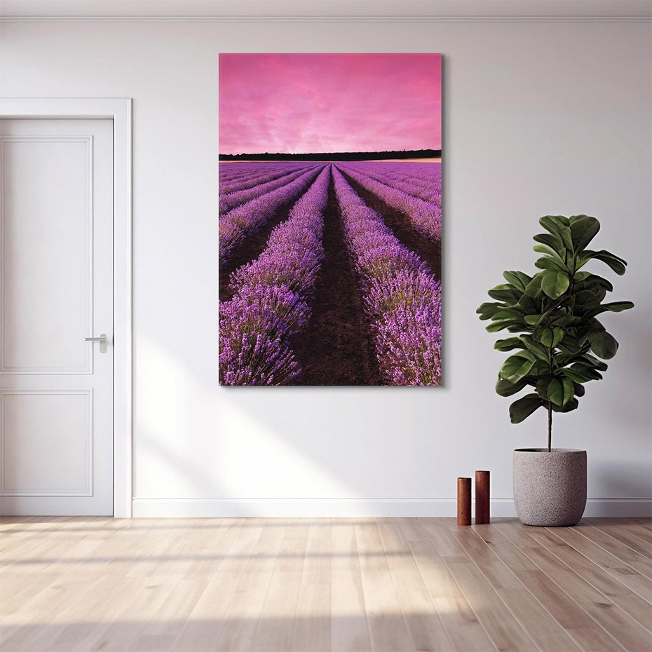 Obraz na płótnie 50x70 - Pola lawendy w pełnym rozkwicie - Lawenda, krajobraz