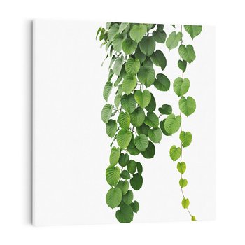 Obraz na płótnie 30x30 - Świeżość Natury - liście, zielone
