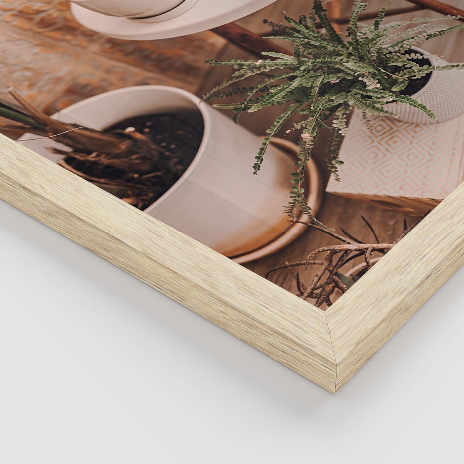 Zestaw obrazy w ramie 50x70 galeria - Kwiaty, kaktusy, w, doniczkach, boho - rama drewno