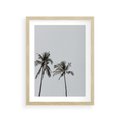 Plakat w ramie 30x40 - Tropikalny Raj: Palmy i Niebo - palmy, niebo - rama drewno