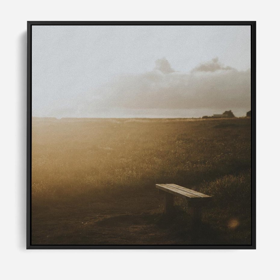 Obraz w ramie 50x50 - Mglisty zachód słońca na ławeczce - mgła, zachód - rama czarna